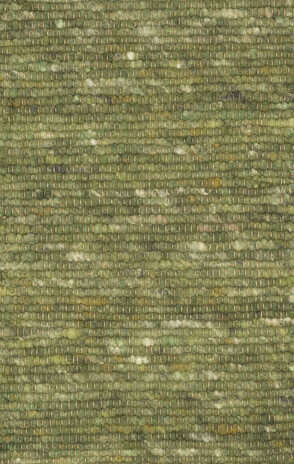 Ctychi-1444